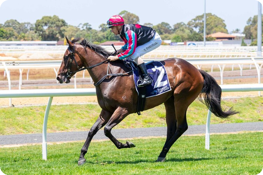Horse racing photo 29
